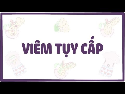 Video: Viêm tụy ở chó