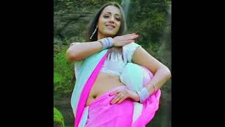 Trisha Hot Saree Navel Edit Vertical 4K