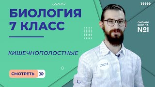 Кишечнополостные. Урок 5. Биология 7 класс