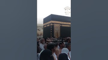 قران كريم الشيخ ياسر الدوسري