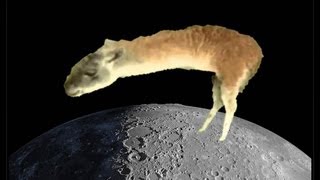 Retarded Running Llama on the Moon!