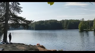 Осиновая роща