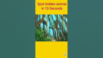 Can You Find The Hidden Objects? - QUIZ? #shorts #trending #short
