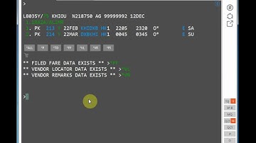 How to add PIA Passenger Contact Information in Galileo (Prescribed SSR Format) - Urdu