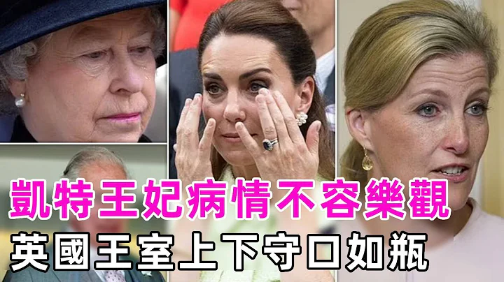 凯特王妃病况成谜😱早已被秘密转移出温莎别墅，英国王室上下封锁消息守口如瓶，全国媒体拍不到一张近照 #凯特王妃 #英国王室 #威廉王子 #查尔斯三世 #谈笑娱生 - 天天要闻