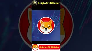 Kripto Sesli Haber Shiba Inu Milyar Shib Yaktı