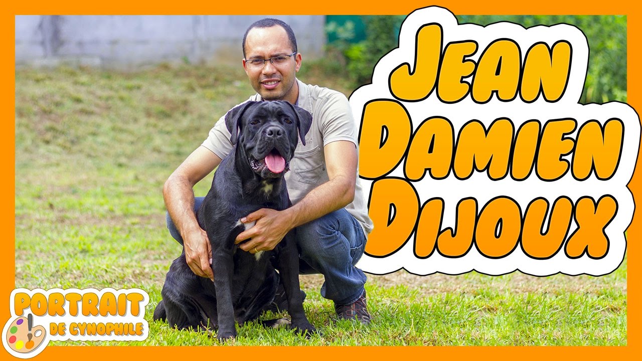 Pdc Propriétaire De Cane Corso