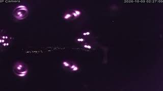 白馬 Hakuba47 のライブ映像