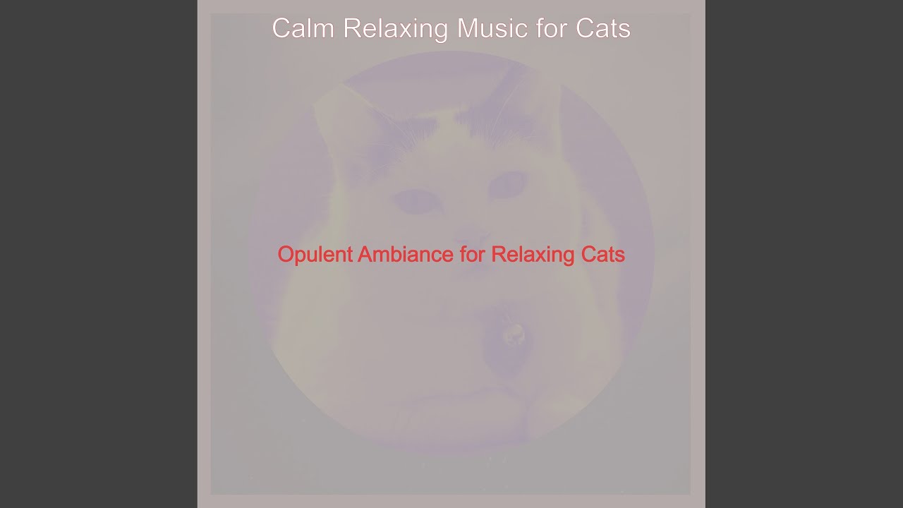 Refined Music for Calm Cats