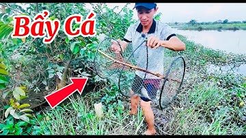 Đi Bẩy Cá Giăng Lưới Dính Nhiều Cá Rô Phi Kiếm Cá Ăn Một Cách Đơn Giản