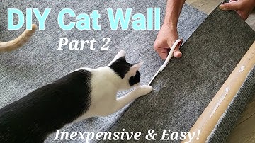 DIY Cat Wall: Part 2