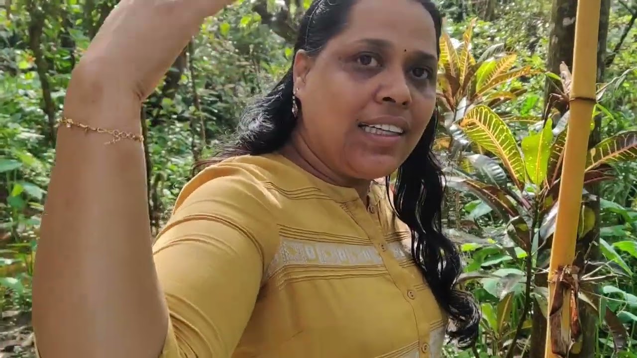 Spices & Ayurveda Garden Munnar