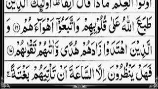 Surah Muhammad By Sheikh Abdur-Rahman As-Sudais Full With Arabic Text in HD 🤍🤍🌿