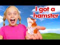 I got 2 Hamsters! Shopping at Petco and PetSmart for New Pets with Jazzy Skye!