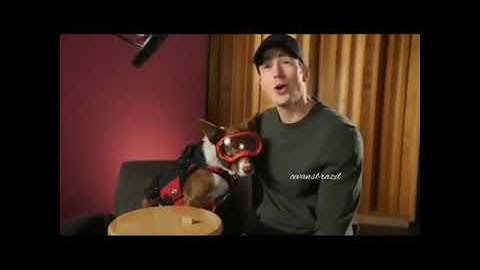 Chris Evans with.. Not Dodger