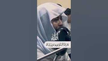 قال انما اشكو بثي وحزني الى الله تلاوه خاشعه بصوت جميل