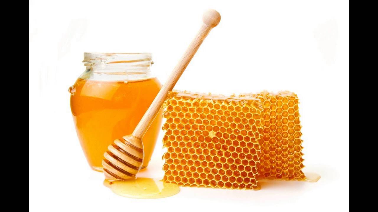 Know How To Made Coconut Oil and Honey Conditioner At Home To Get Silky