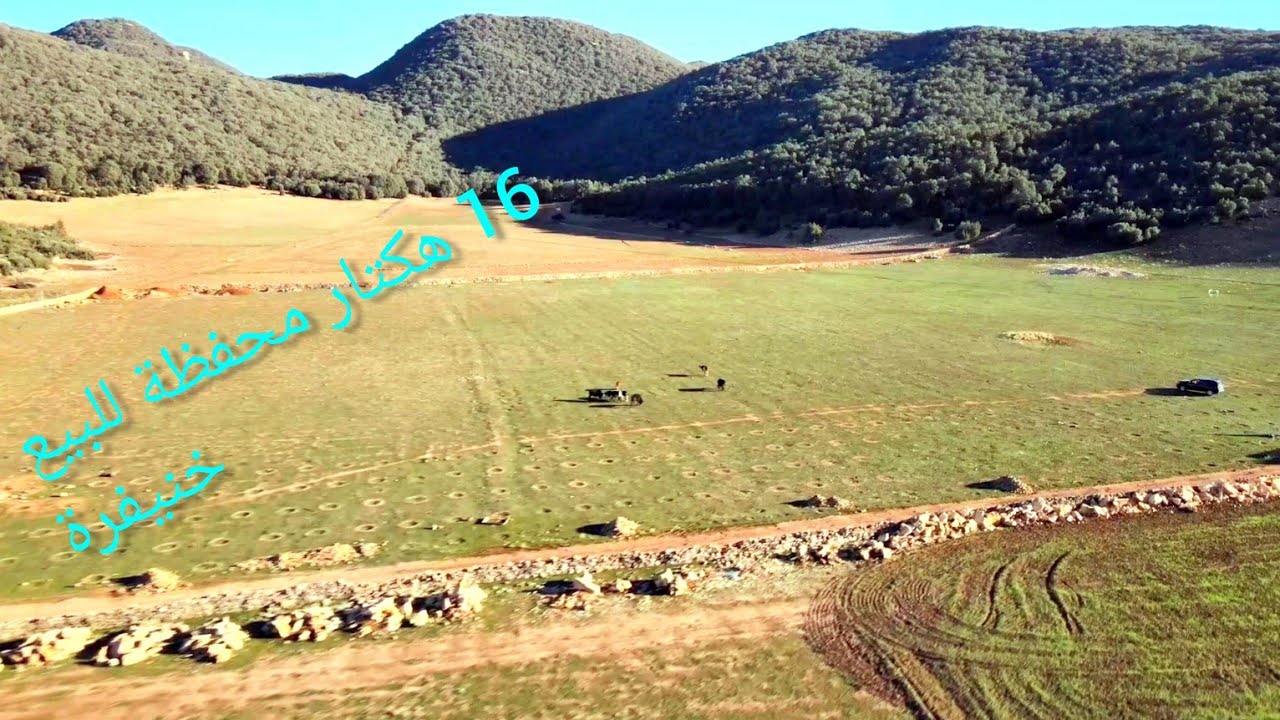 ارض فلاحية للبيع محفظة 16 هكتار  طريق عيون ام الربيع  +500 من التفاح تم بيع الارض