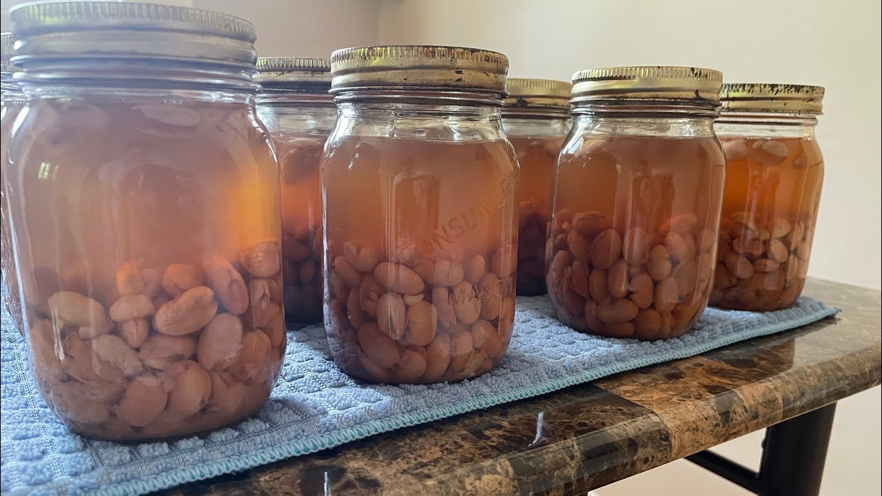 Dry Canning Pinto Beans YouTube