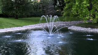 Airmax® EcoSeries™ Fountain - Double Arch Spray Pattern
