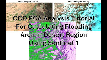 CCD PCA Analysis for Flood Detection in Desert Areas using SAR data