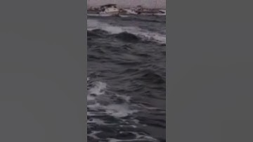 ‏تلاوة خاشعة للشيخ علي جابر | ﴿قُل لَو كانَ البَحرُ مِدادًا لِكَلِماتِ رَبّي .....