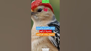 مصيبة ترك أذكارالصباح والمساء😰وتوقيت قراءتهم الصحيح👍🏻معلومة عالسريع💫 #الاذكار #الأذكار #الرقية #علاج