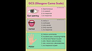 Glasgow Coma Scale 