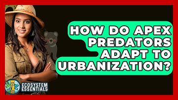 How Do Apex Predators Adapt To Urbanization? - Ecosystem Essentials