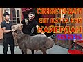 КУЙ БОКИШ БИЗНЕСИ ЕНГ КАТТА КУЧКОР КАЙЕРГА КАРАШЛИК