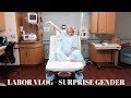 LABOR VLOG - BABY #4 -  SURPRISE GENDER!!