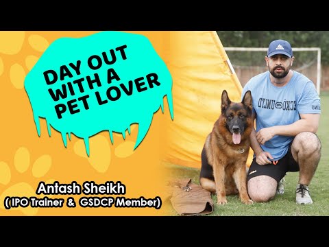 Video: Longtime Dog Trainer Har Premiär På Den Nya Showen