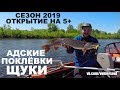 АДСКИЕ ПОКЛЁВКИ ЩУКИ! Джиг-Спиннинг. Щука, Судак, Жерех, Окунь. ОТКРЫТИЕ СЕЗОНА 2019. Рыбалка.