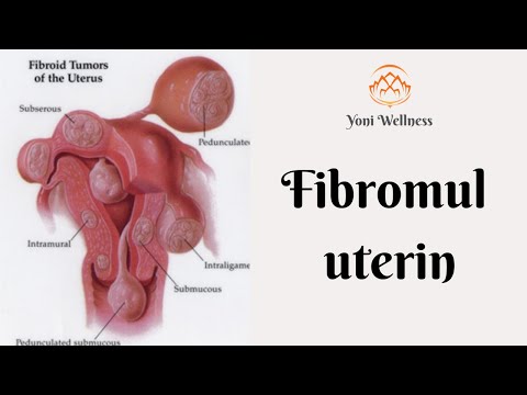 Video: De unde provin uterul?