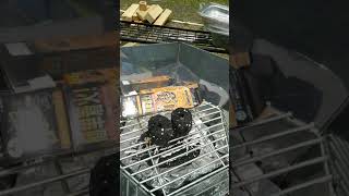 キャプテンスタッグ エコー 一発着火炭レビュー