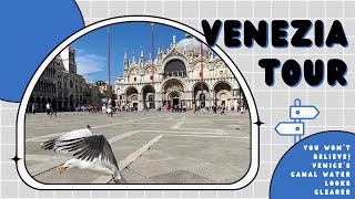 You won’t believe! Venice's canal water looks clearer 4K