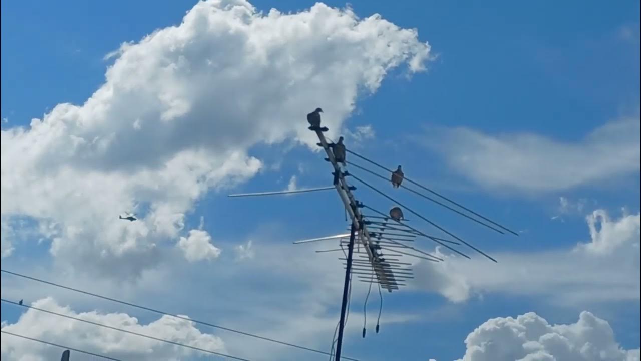 Air show Miami Beach 17 minutes f15 Boeing ah 64 apache YouTube