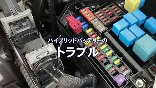 北海道で自動車整備なら”auto service HAL” A