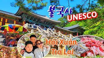 Trở Lại Thăm Phố Cổ Gyeongju Ngắm Hoa Đào Kép Và Đền Bulguksa |cuộc sống hàn quốc| #35