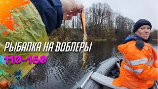 видео: Крупные воблеры на болоте | 110, 130, 160 картинка: Крупные воблеры на болоте | 110, 130, 160