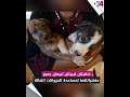 شقيتان ليبيتان تبيعان جميع مقتنياتهما لمساعدة الحيوانات الضالة 