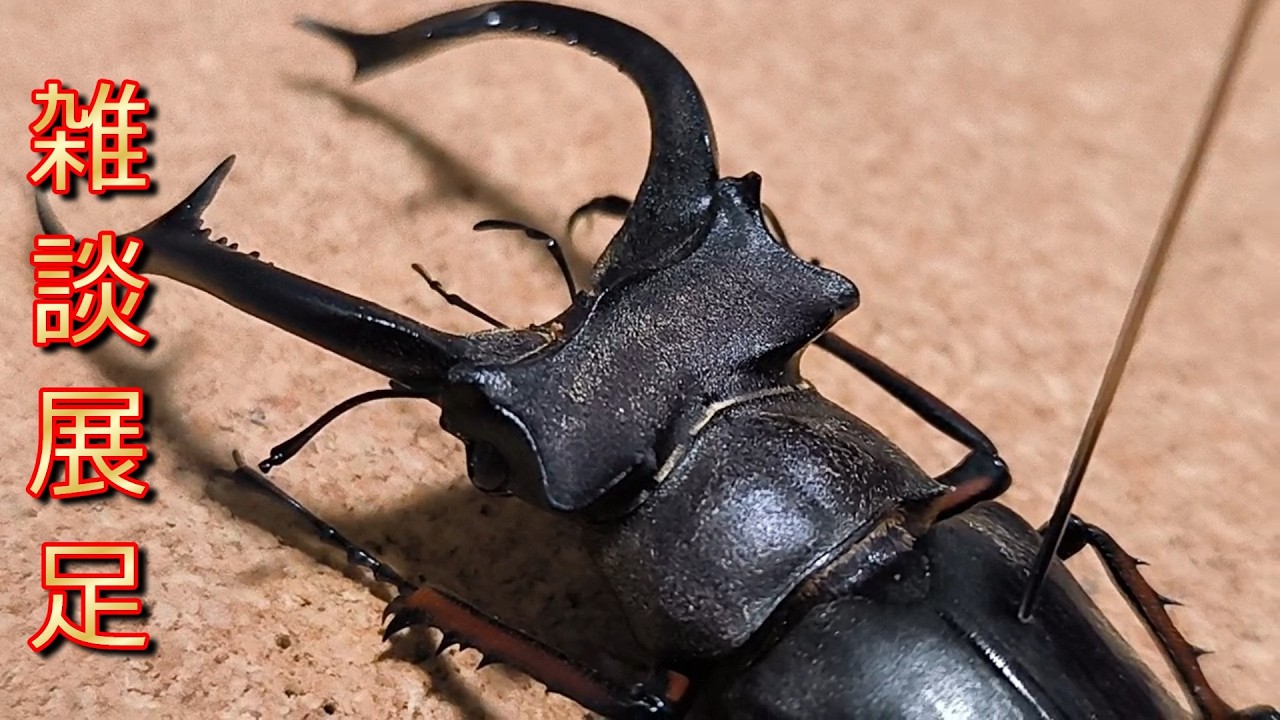 【ヘルニア】腰は大事にしましょう！