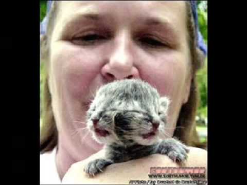 Fanny Pictures !!!! Must See