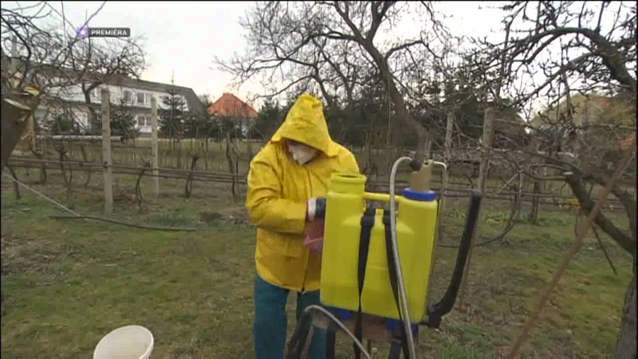 Postrek stromkov jarný