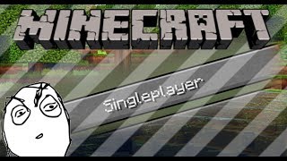 Whats wrong with Minecraft SinglePlayer? (Minecraft Shorts)