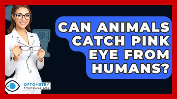 Can Animals Catch Pink Eye From Humans? - Optometry Knowledge Base