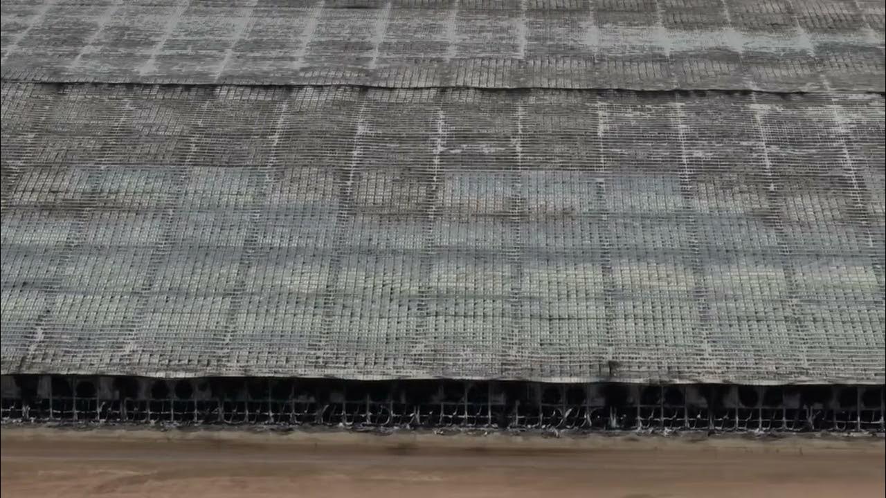 18,000+ dairy cows have been killed from the South Fork Dairy farm