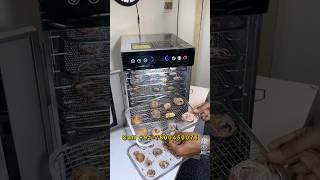 🧅 Onion Dehydration & Onion Powder Making Machine Process, Cost, Demo | Onion Powder Business 2026