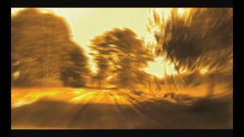 EEVA2009 "Road to succes"