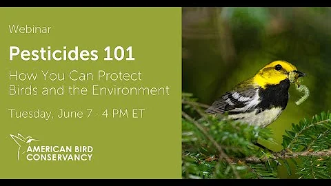 Pesticides 101: How You Can Protect Birds and the Environment | ABC Webinar - DayDayNews